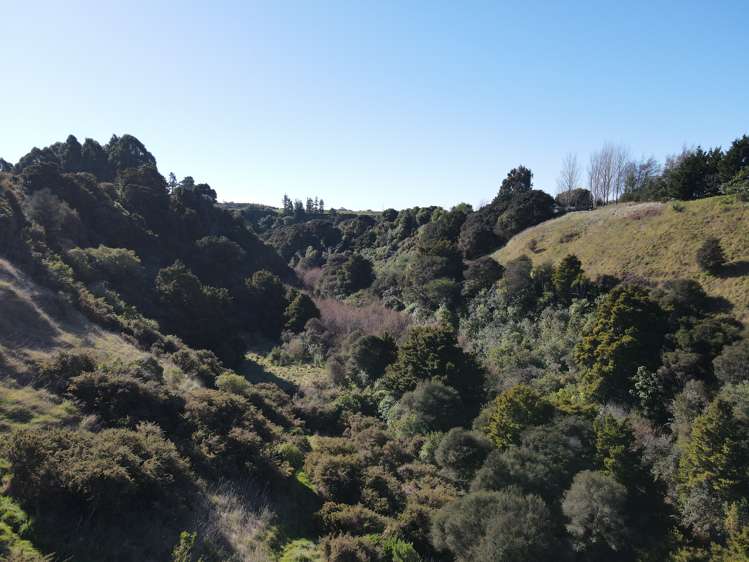 115 D Ruakokoputuna Road, Ruakokoputuna Martinborough_19