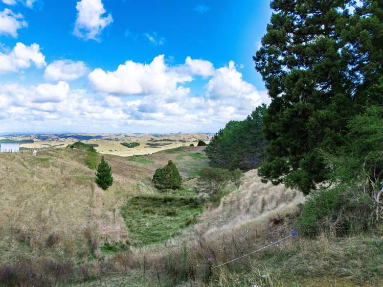 352 Kauri Road Onewhero_20