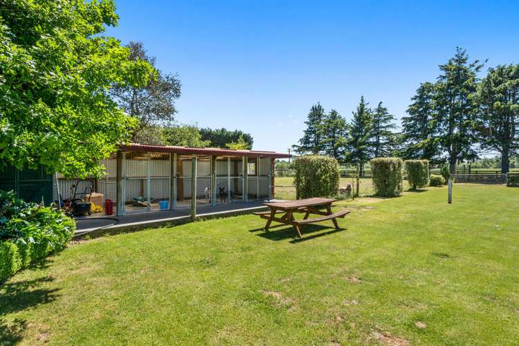 767 Mount Thomas Road Fernside_14