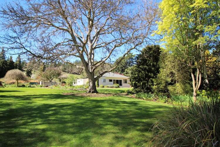 41 Waldron Road Alexandra_6