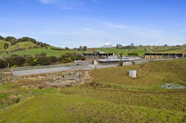 1234 Richmond Road Everett Park_6