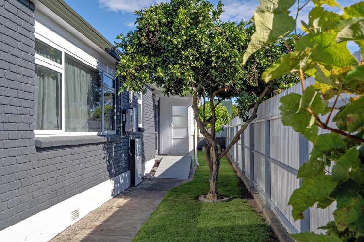 65b Nelson St Opotiki_23