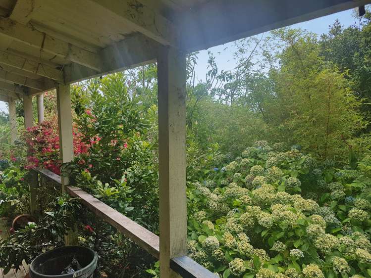 914 Whakapirau Road Whakapirau_0