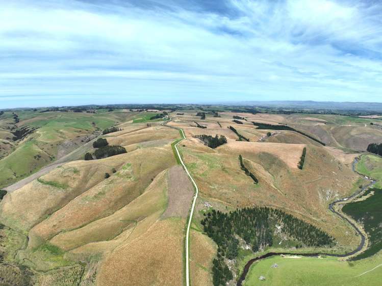 174 McCulloch Road Awamangu_8