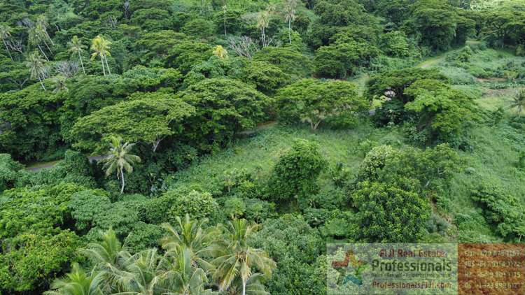 Address withheld Taveuni_15