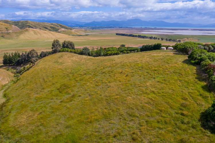 398 Redwood Pass Road Redwood Pass_6