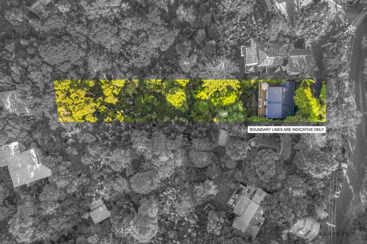 4 Opou Road Titirangi_20