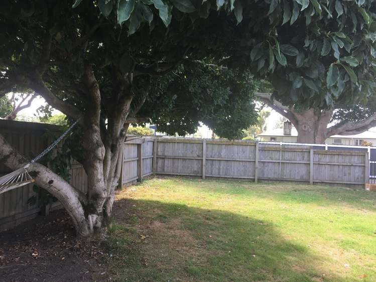 73A Windsor Road Bellevue_2