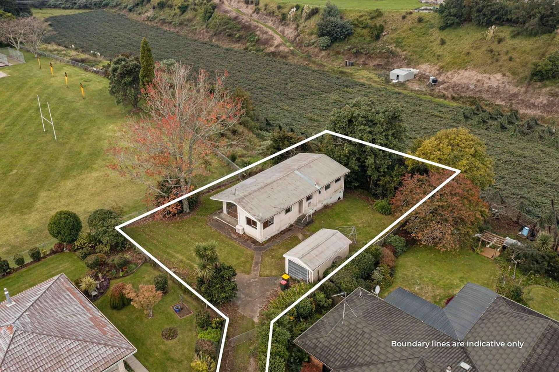 6 Barnett Place Te Puke_0