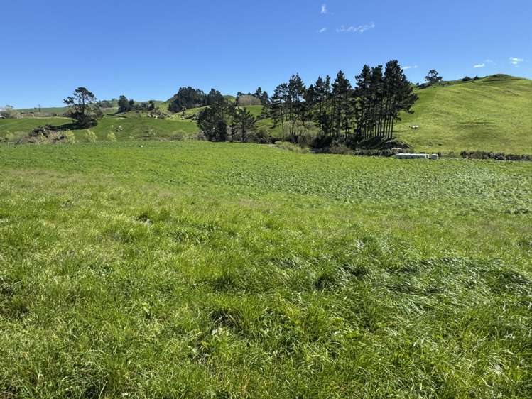 258 Wharepapa South Road Te Awamutu_16