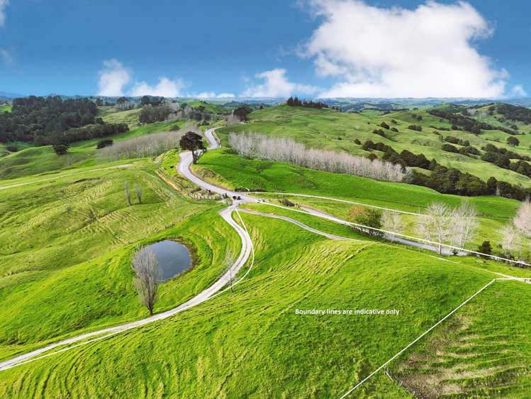 1858 Pukehuia Road Dargaville_3