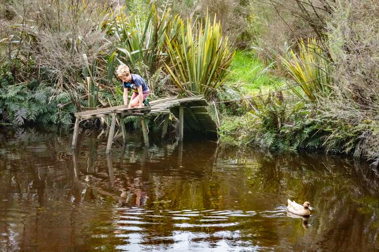 118 Mcphail Road Oropi_2