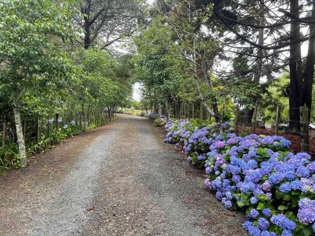 156 Elmore Road Lucas Heights_1