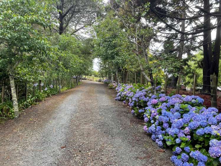 156 Elmore Road Lucas Heights_1