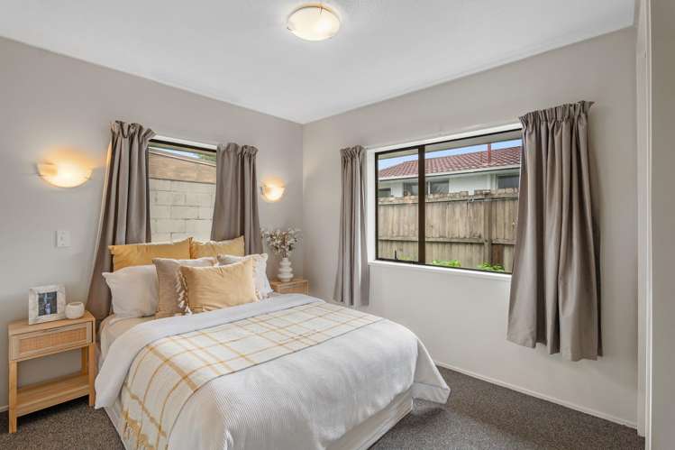 213b Colombo Street Sydenham_15