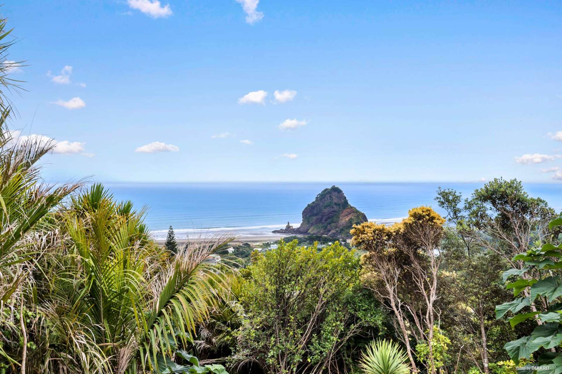 17 Piha Road Piha_0