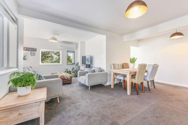 22 Leicester Street Picton_12