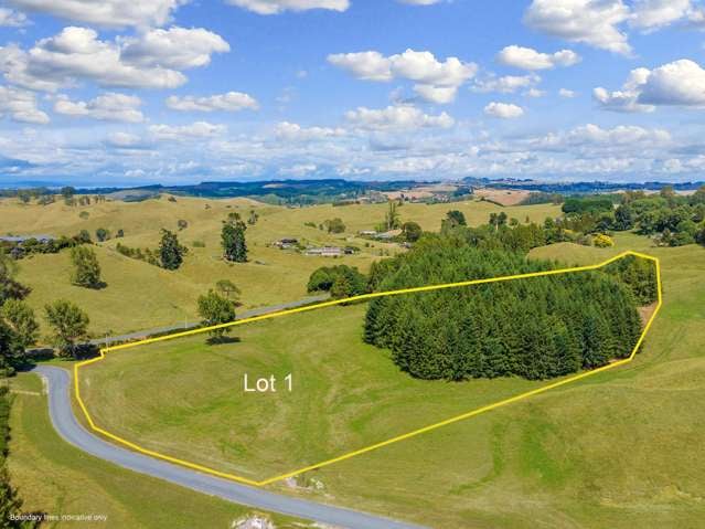 324 Palmer Mill Road Wairakei_2