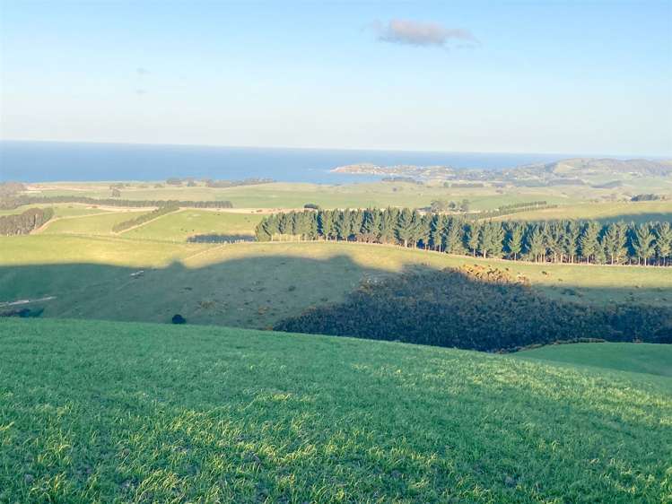 Duncan Road Hampden_13