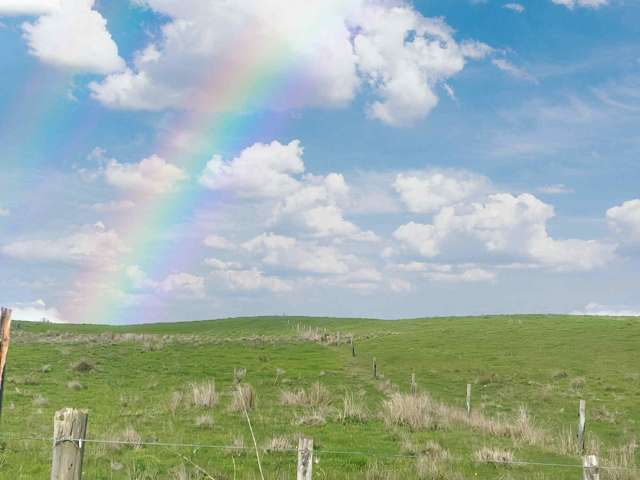 Lot 11 Mangakahia Road Poroti_2