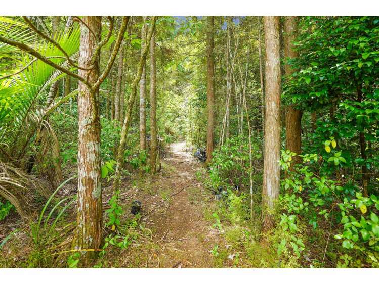 54A Pungaere Road Kerikeri_7