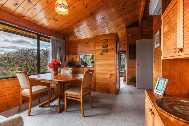 65 Harvey Street Waipahihi_2