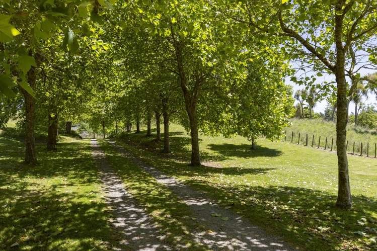 1585 Poihipi Road Oruanui_1