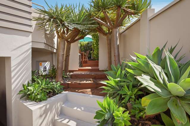 23 Tay Street Mt Maunganui_4