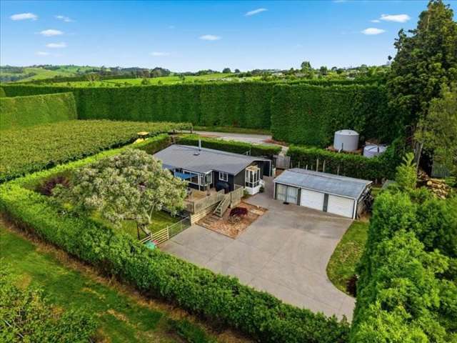 395 Youngson Road Whakamarama_2