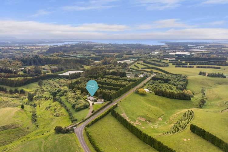 228A Lockington Road Katikati_26