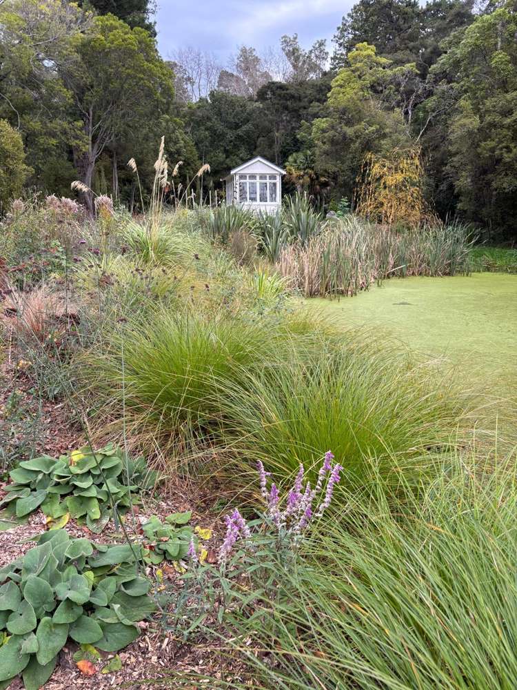 1169a Ponatahi Road, Ponatahi Martinborough_26