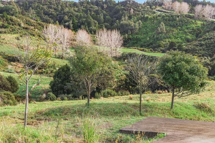 88 Waere Valley Lane Warkworth_14