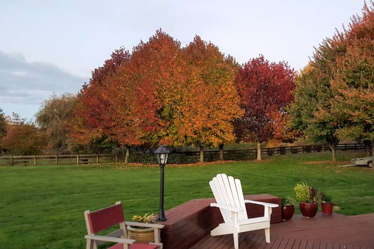 628 Maungatautari Road Cambridge_6