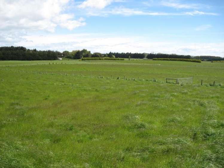 59 Lorne Dacre Road Lorneville_8