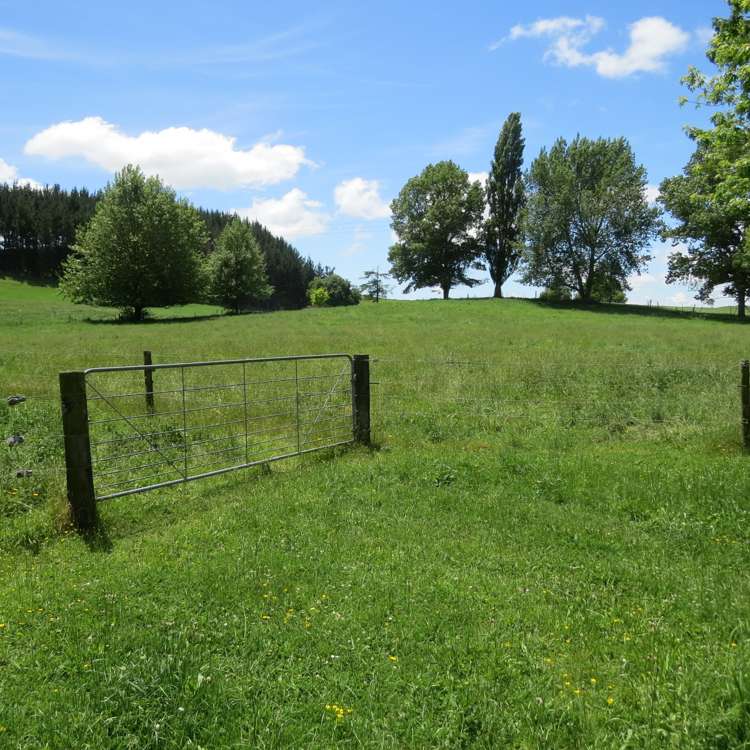 Whawharua Road Otorohanga_2