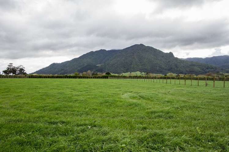 121 Mace Road Hauraki Surrounds_20