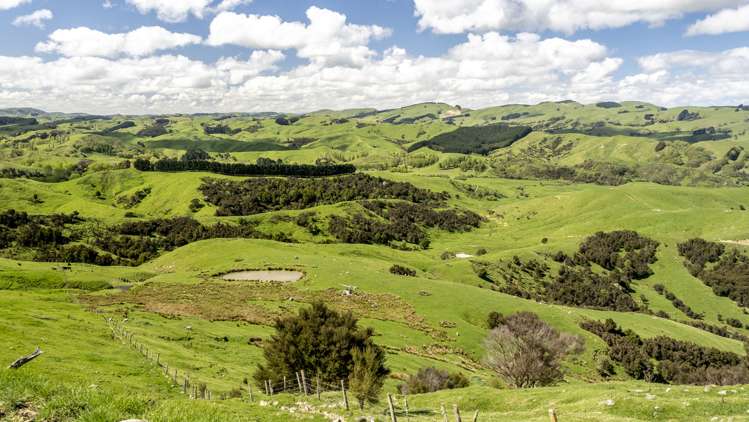 96 Bruces Road Sefton_13