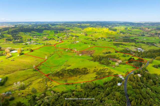 462 Kahikatea Flat Road Waitoki_3