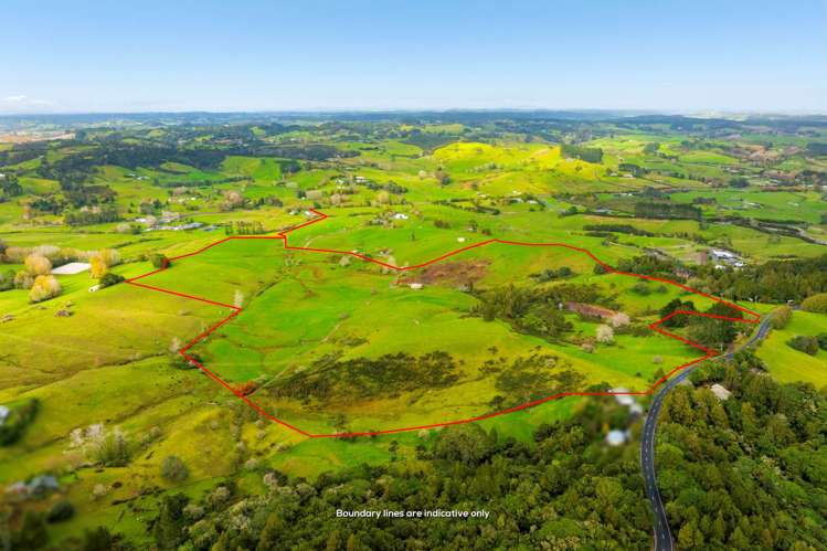462 Kahikatea Flat Road_3