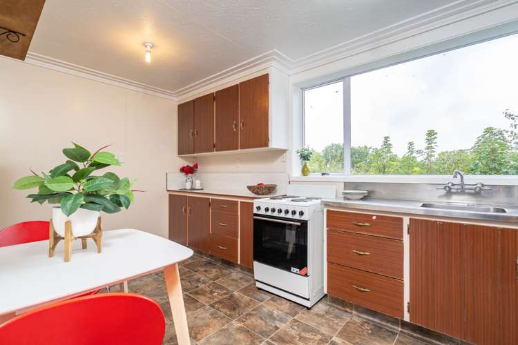 3 Lees Street Dunedin Central_6