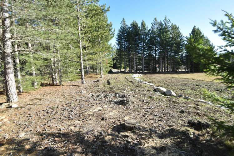 60 North West Arch Twizel_6