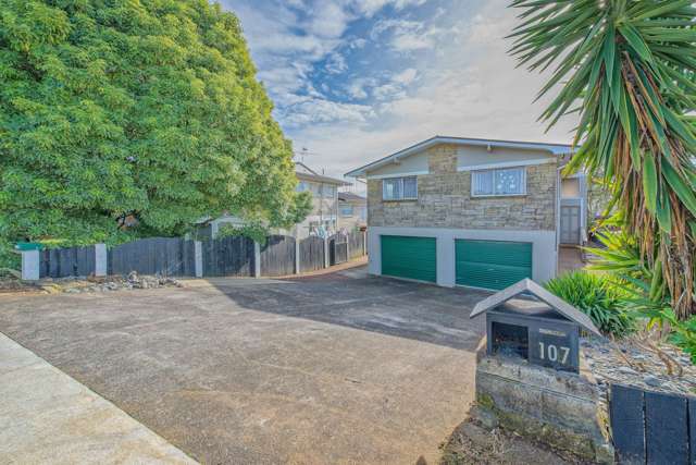 107 Nelson Street Pukekohe_2