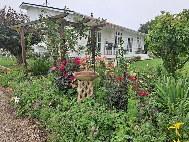 769 No 1 Road Te Puke_24