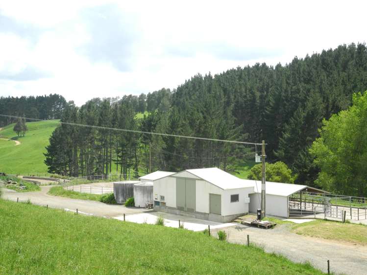 3198 State Highway 23 Raglan_9