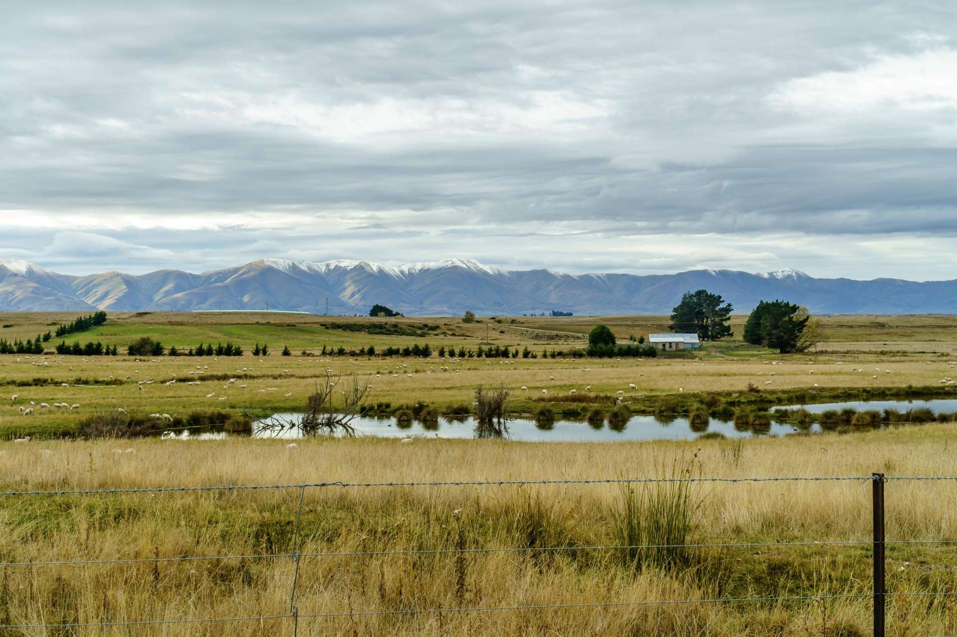 305 Bypass Road Ranfurly_0