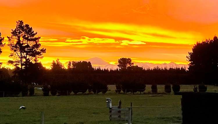 981a Old West Coast Road West Melton_29