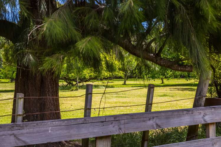 7 Orchard Road Greytown_22