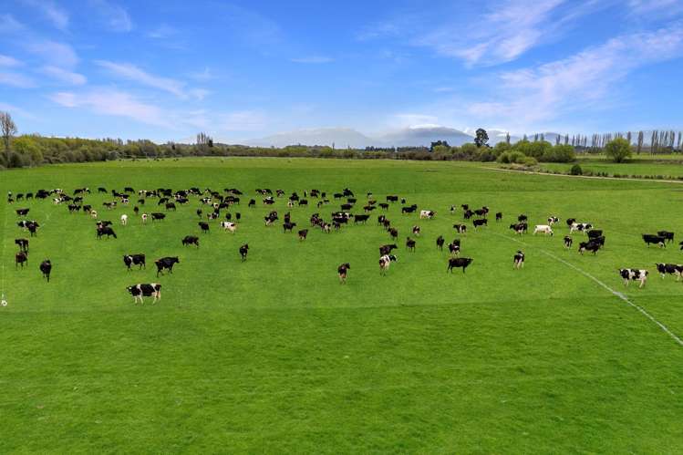 1375 Ashburton Staveley Road Ashburton Forks_14