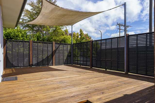 3 Riverbend Road Onekawa_4