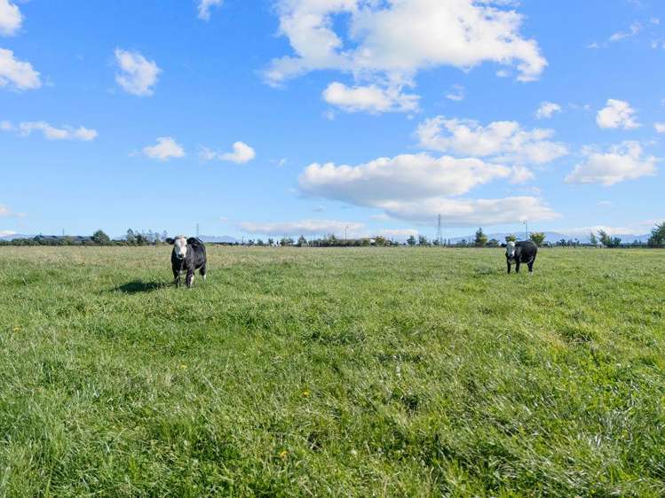 7 Lanz Vale Lane Huntingdon_6